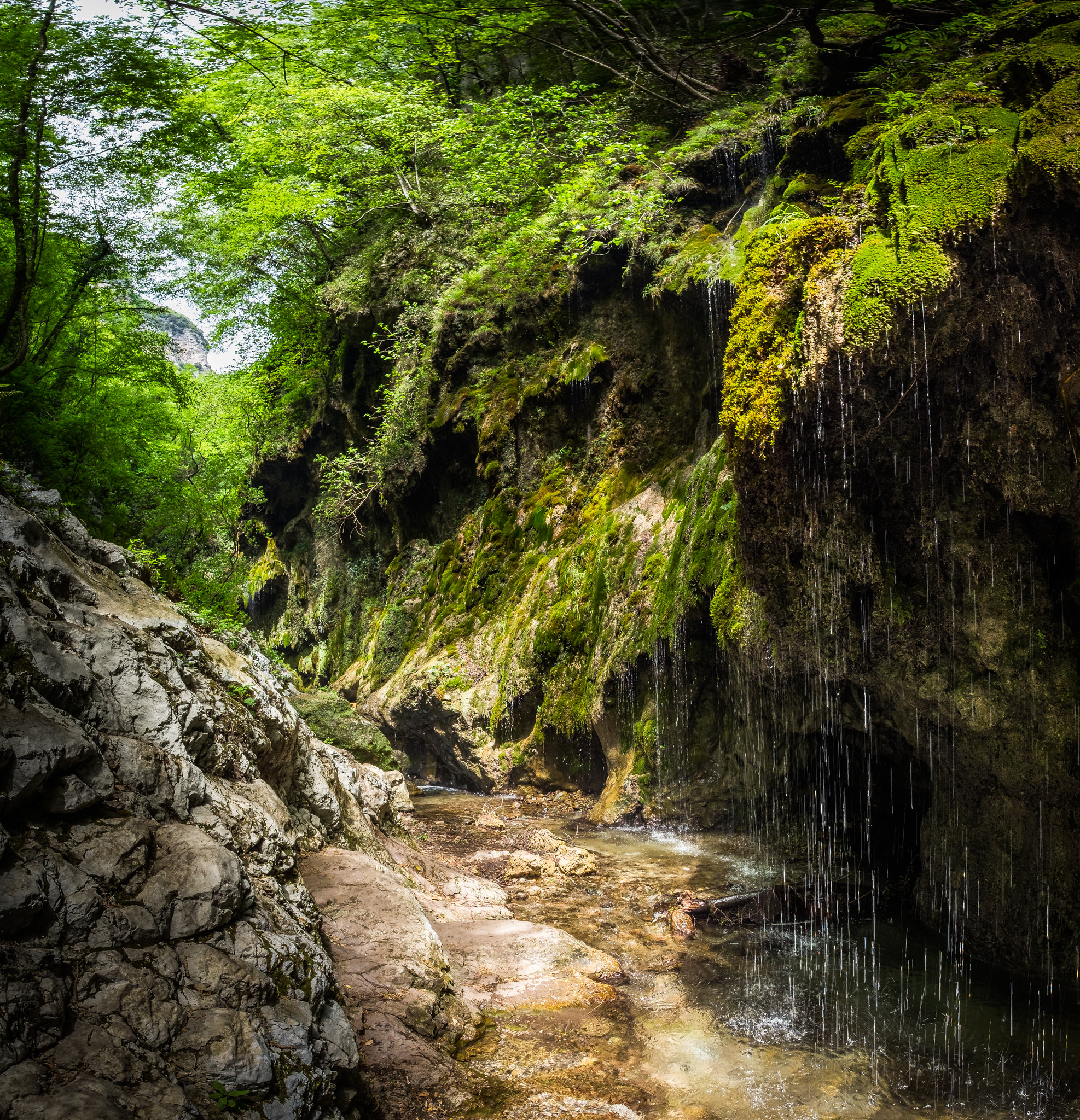 Valle delle Ferriere di Amalfi: bellezza naturale
